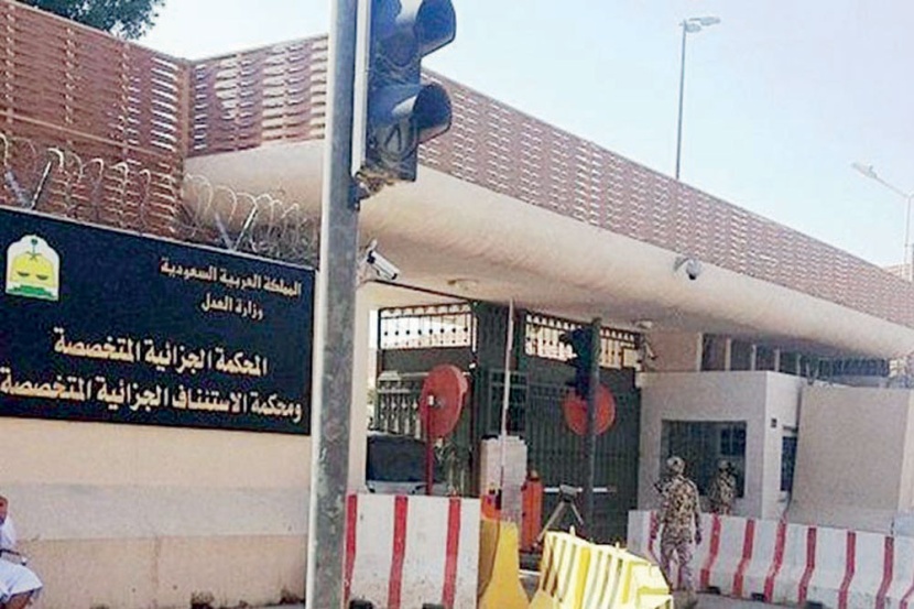 السجن 14 سنة لمتهمين.. أحدهما «سوداني» تستر على أحد الإرهابيين