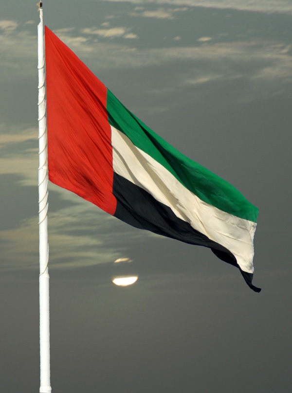 الإمارات تدين تفجيري إسطنبول وتؤكد موقفها الرافض للإرهاب بكل صوره