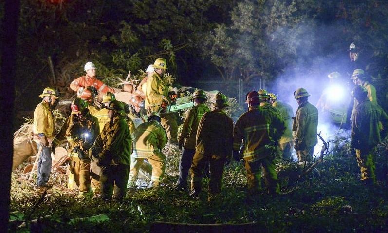 قتيل و5 مصابين جراء سقوط شجرة على حفل زفاف في كاليفورنيا