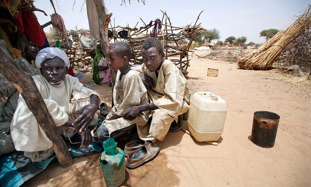 البنك الدولي يطلق مشروعًا لدعم النازحين شرقي السودان