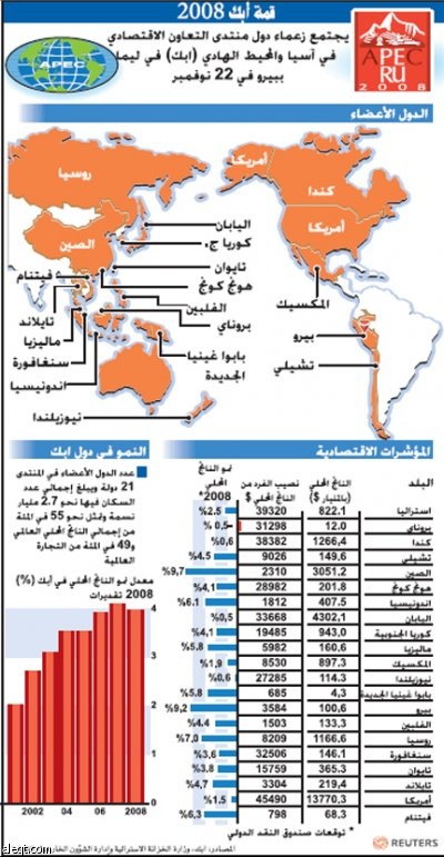 بوش يسعى إلى الحصول على دعم "أبيك" لبيان مجموعة العشرين