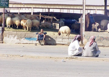 السلي .. حي "حديث" بأدوات "قديمة" وماء ملوث!