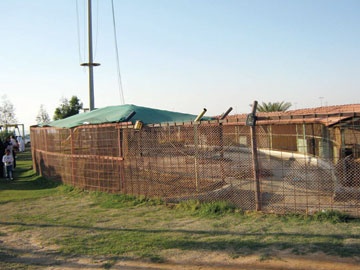 حديقة حيوانات في محطة وقود.. اختلف التسويق والربح واحد