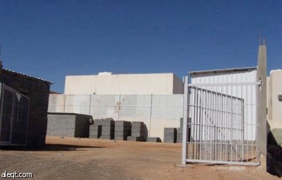 الجنادرية.. أشجار "ميتة" وإهمال "حي"!