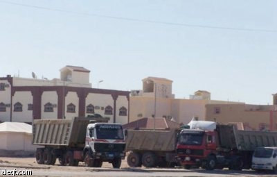 الجنادرية.. أشجار "ميتة" وإهمال "حي"!