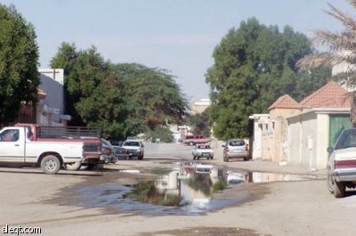 الجنادرية.. أشجار "ميتة" وإهمال "حي"!