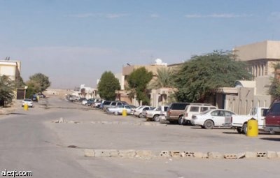 الجنادرية.. أشجار "ميتة" وإهمال "حي"!