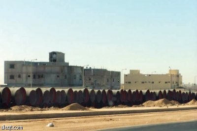 الجنادرية.. أشجار "ميتة" وإهمال "حي"!