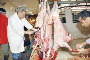 بفضل التخطيط المسبق "الأمانة" تستغني عن "برنامج مخدوم" رغم جاهزيته !