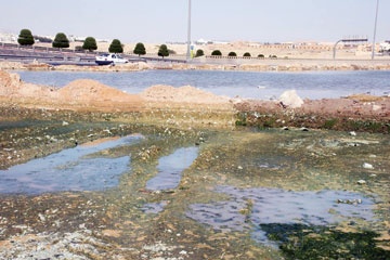 مصادر الأمراض