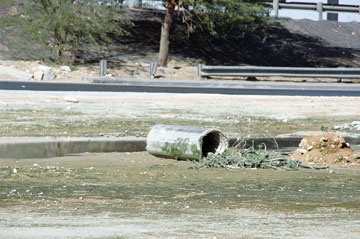 مصادر الأمراض