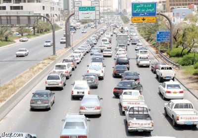 مدير الحدائق: سنكافح الزحام والتلوث البيئي بـ "الرقعة الخضراء"