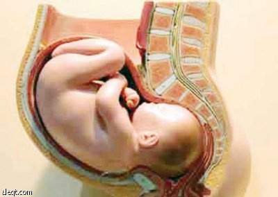 الحمل عالي الخطورة .. 10 % يمكن أن يتعرضن الوفاة