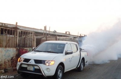 أمانة الرياض تطلق خطة مكثفة للحد من كثافة الحشرات