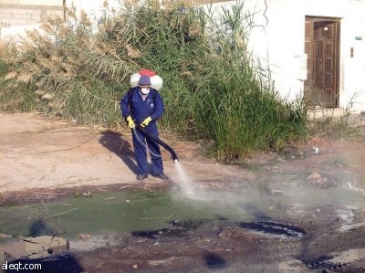 أمانة الرياض تطلق خطة مكثفة للحد من كثافة الحشرات