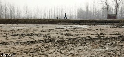 "الفاو": انخفاض الإنتاج العالمي للحبوب بسبب الجفاف وإنتاج الوقود الأحيائي