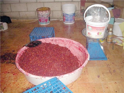 كشف مصنعين لـ "المعسل" يستخدمان ألواناً ونكهات ممنوعة دولياً