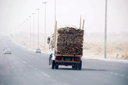 السلامة في خطر