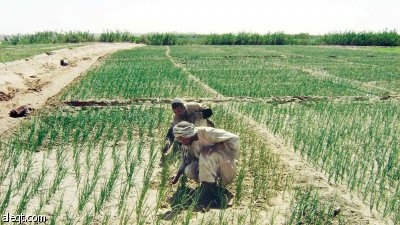 استثمارات سعودية جديدة بـ 15 مليار ريال في السودان