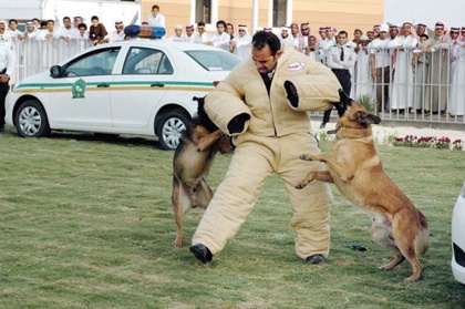 الكلاب البوليسية تجذب زوار جناح الجمارك