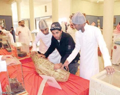 قطعة خشبية يتجاوزعمرها مليوني عام تثير دهشة الزوار!