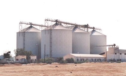 الشركات الأمريكية تتحرك للحصول على حصة من توريد القمح إلى السعودية