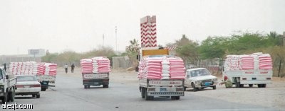 القمح السعودي في الرمق الأخير .. ودعوة لاستثناء الشركات من قيود الإنتاج