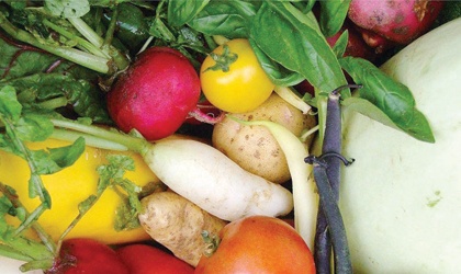 الأغذية العضوية جيدة لكن كيف نتعرف عليها؟