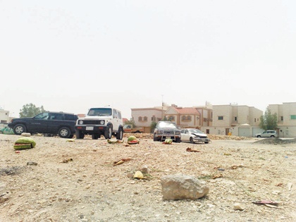 سيارات تالفة وباعة مخالفون وكلاب سائبة تثير سكان "الجزيرة"