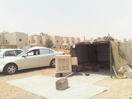 سيارات تالفة وباعة مخالفون وكلاب سائبة تثير سكان "الجزيرة"