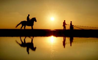 الجمال بين الشكل والمضمون