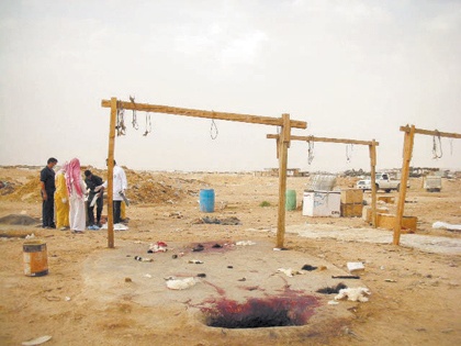 "الأمانة"تحاصر المسالخ العشوائية.. ضبط 85 موقعا في شرق الرياض