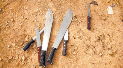 "الأمانة"تحاصر المسالخ العشوائية.. ضبط 85 موقعا في شرق الرياض