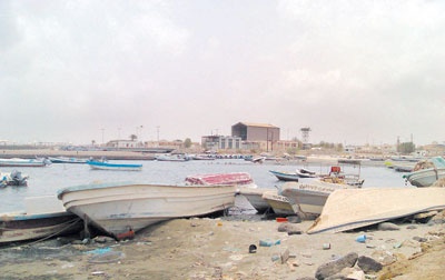 الجمعية التعاونية للصيادين .. هل تعيد الإرث المفقود