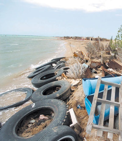 الجمعية التعاونية للصيادين .. هل تعيد الإرث المفقود