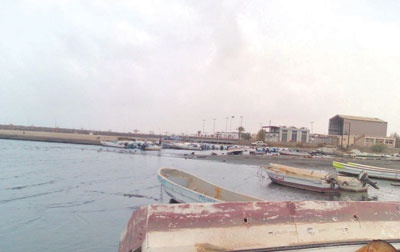 الجمعية التعاونية للصيادين .. هل تعيد الإرث المفقود