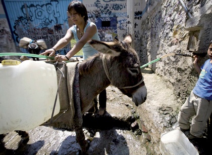 الأمريكيون يهدرون  225 مليار جالون سنويا من المياه