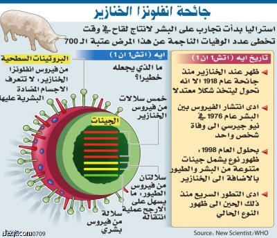 كثرة الإصابات بإنفلونزا الخنازير تثير الأسئلة حول دور السمنة في تفاقمها