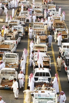 بريدة تطلق مهرجانها الدولي للتمور بـ 1200 سيارة و5 آلاف صفقة