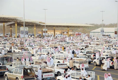 موسم التمور في القصيم..رؤية استثمارية لمشاريع بـ200 مليون ريال