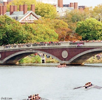 جامعات تخصصها تخريج مليارديرات