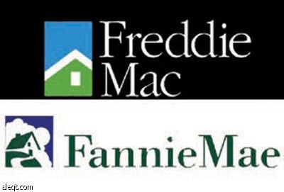 المجموعة الأمريكية الدولية وفاني ماي وفريدي ماك