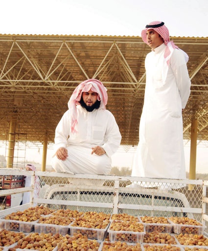 15 مليون عبوة حجم استهلاك أسواق التمور تستنفد إنتاج المصانع