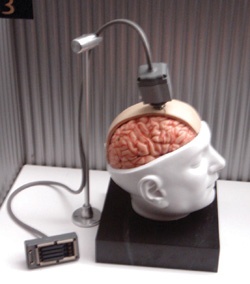 العرب يخسرون 1.57 مليار دولار سنوياً بسبب هجرة الأدمغة