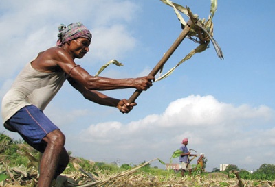 حين لا تهطل الأمطار