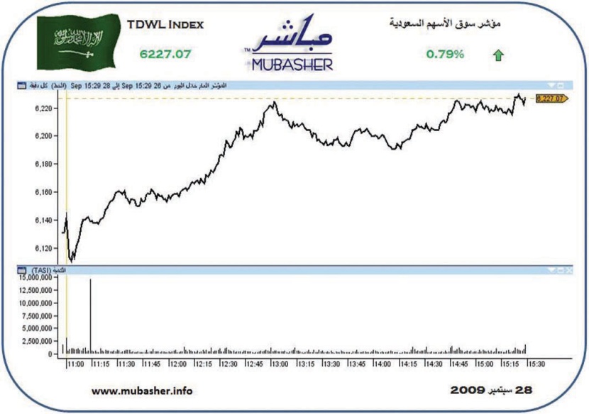 مؤشر الأسهم يربح 30% منذ بداية العام