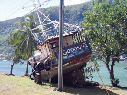 أمواج المد العاتية تحول «جنة المحيط الهادي» إلى جحيم