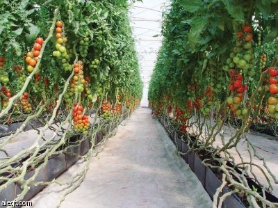 المهاجرون يبحثون عن المال ثم يتركون في ظروف أسوأ مما كانوا عليها في بلادهم