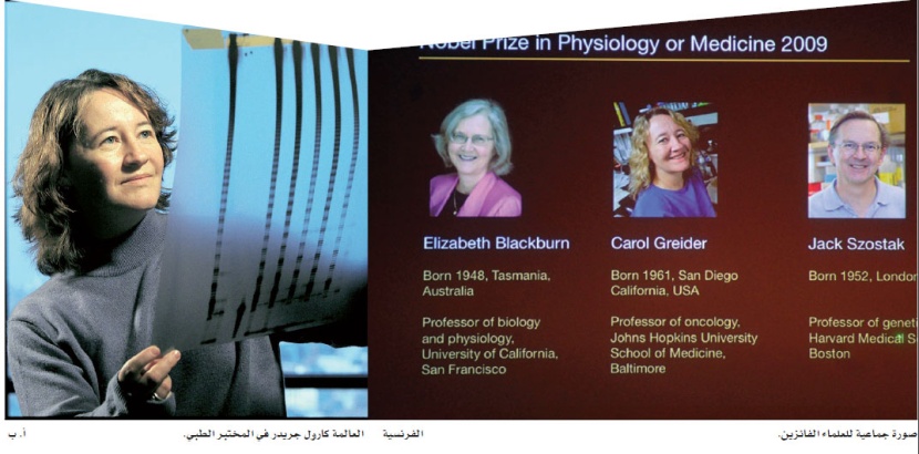 فوز 3 أمريكيين بنوبل للطب 2009