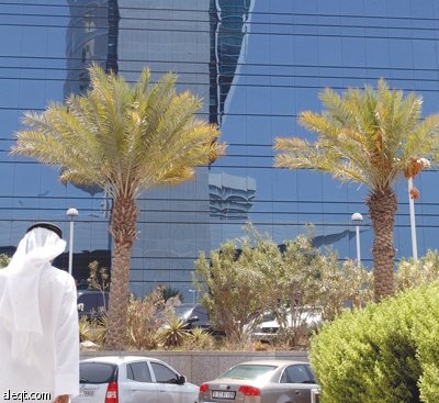 تنظيف الديون